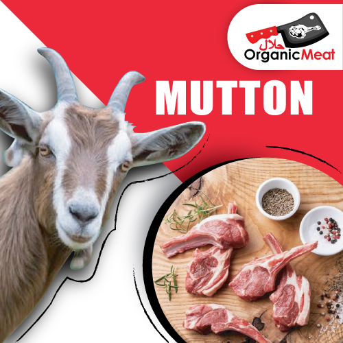 Fresh Mutton – B.B OLI MEAT MART